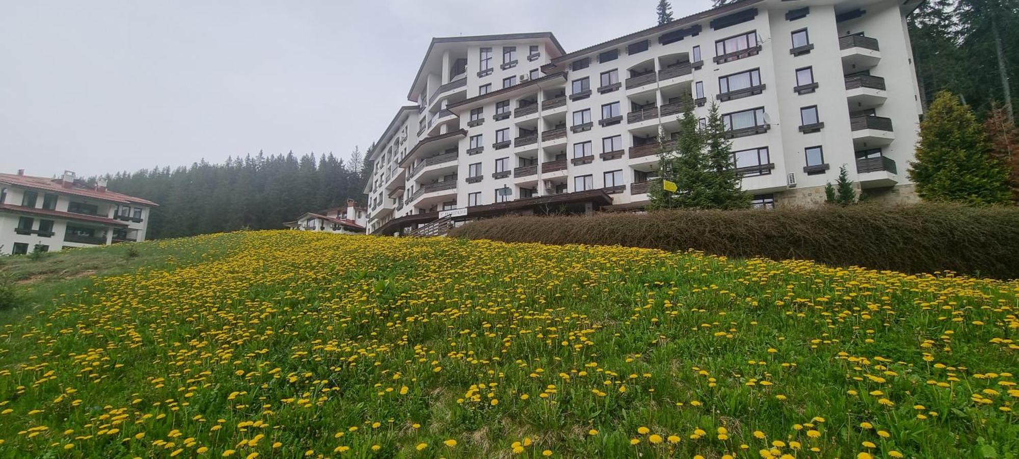 Elit Pamporovo Accommodation Exterior foto